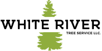 web-logo